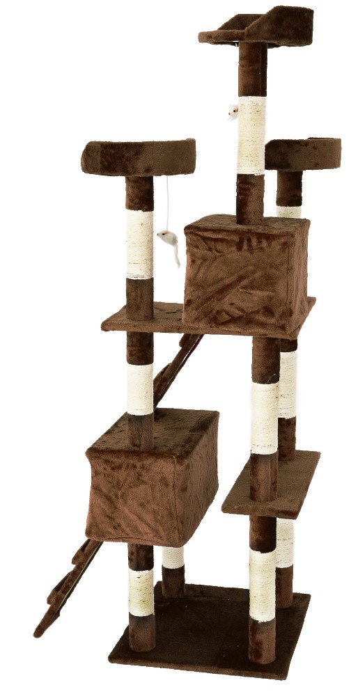 topcat_rjav4